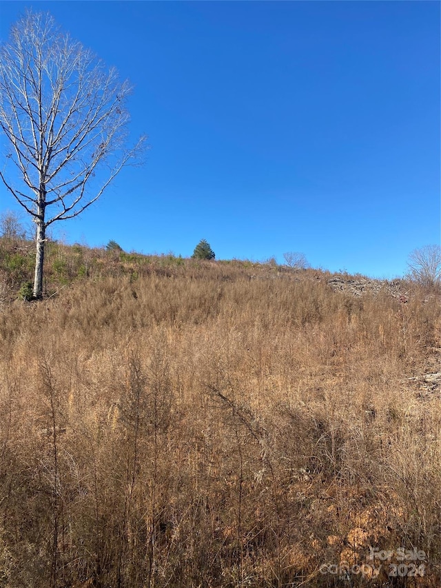 view of landscape with a rural view