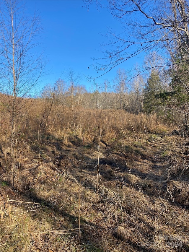 364 Moriah Church Rd, Casar, NC 28020 - view of undeveloped land