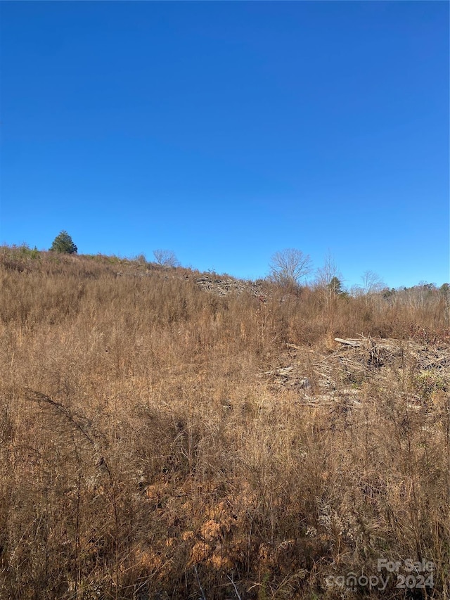 364 Moriah Church Rd, Casar, NC 28020 - view of local wilderness