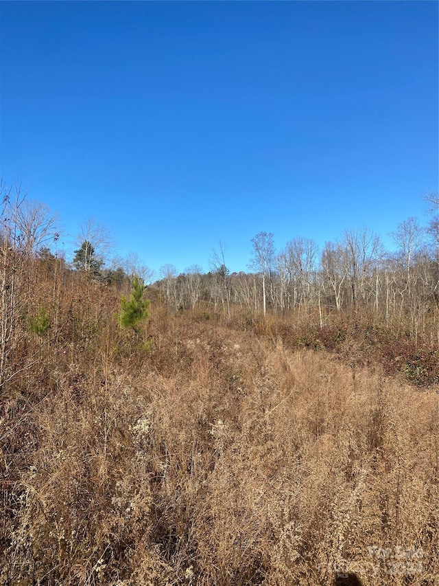 364 Moriah Church Rd, Casar, NC 28020 - view of nature
