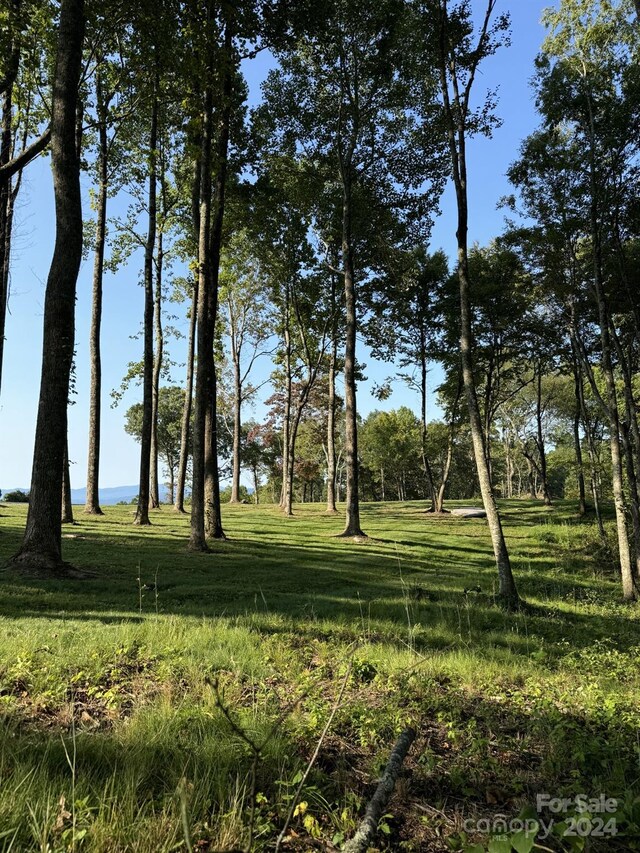 0000 W Garden Trl Lot 62, Hendersonville, NC 28792 - photo 4