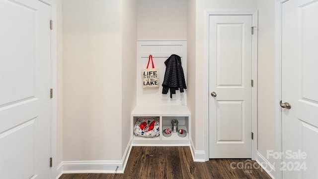 mudroom featuring dark wood-type flooring