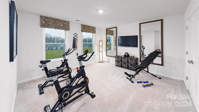 workout room featuring light colored carpet