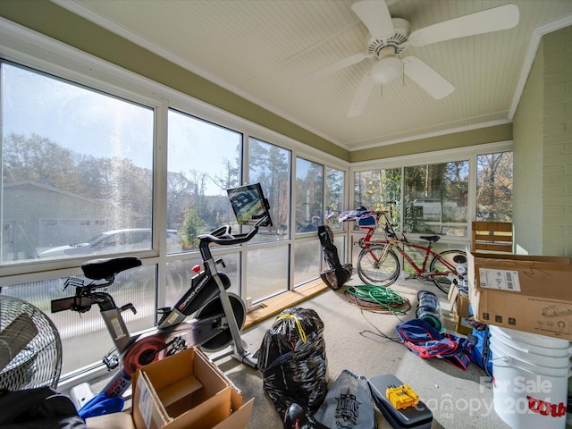 workout area featuring ceiling fan, a healthy amount of sunlight, and ornamental molding