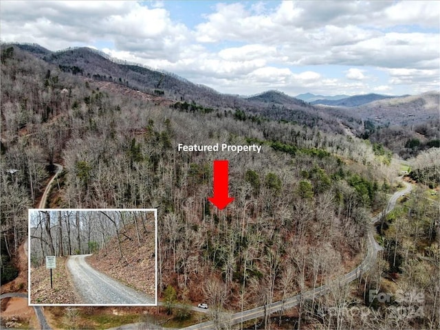 TBD Big Oak Springs Road, Sylva NC, 28779 land for sale