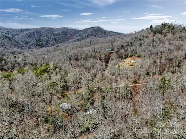 Listing photo 3 for TBD Big Oak Springs Road, Sylva NC 28779