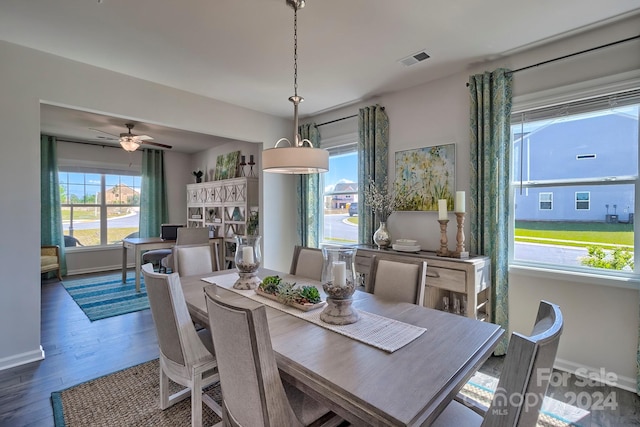 dining area with ceiling fan and hardwood / wood-style flooring