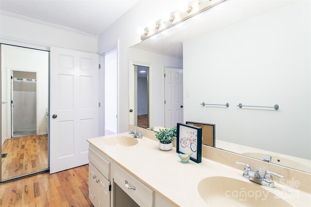 bathroom with hardwood / wood-style floors and vanity