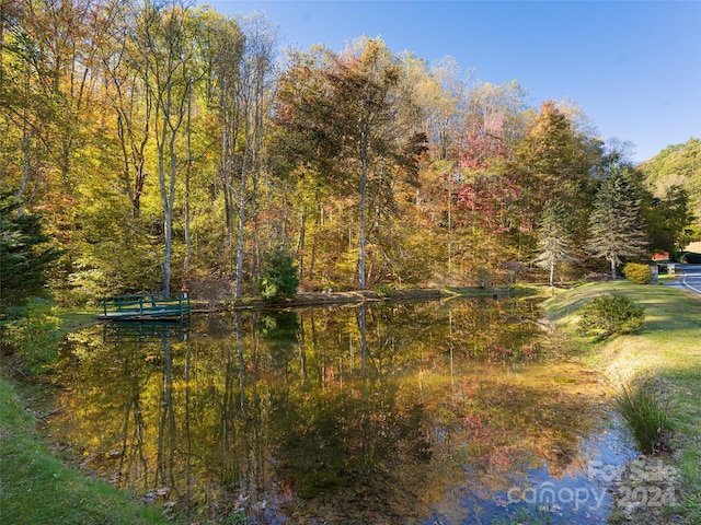 370 Smith Creek Rd, Mars Hill, NC 28754 - photo 4