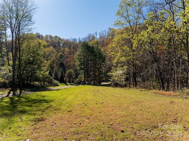 370 Smith Creek Rd, Mars Hill, NC 28754 - photo 41
