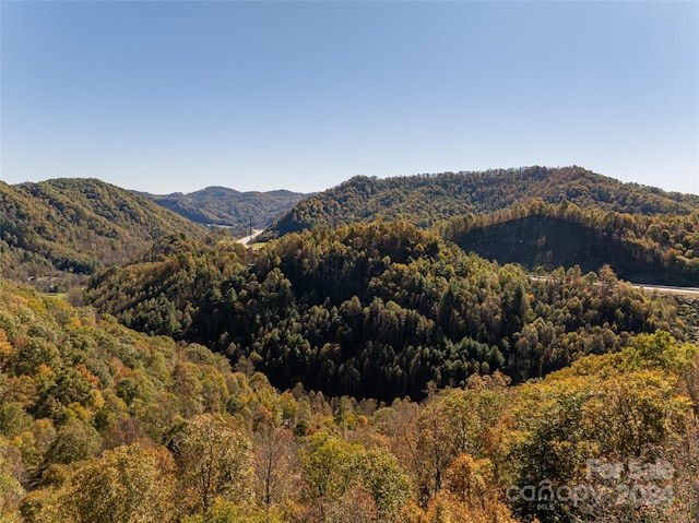 property view of mountains