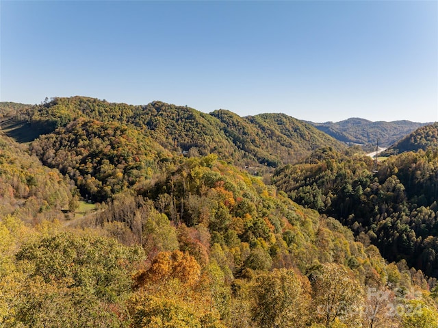 property view of mountains