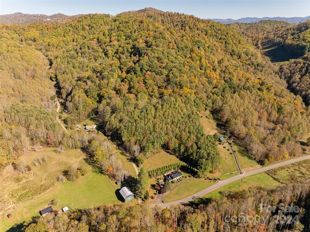 aerial view with a mountain view