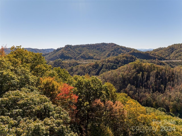 370 Smith Creek Rd, Mars Hill, NC 28754 - photo 45