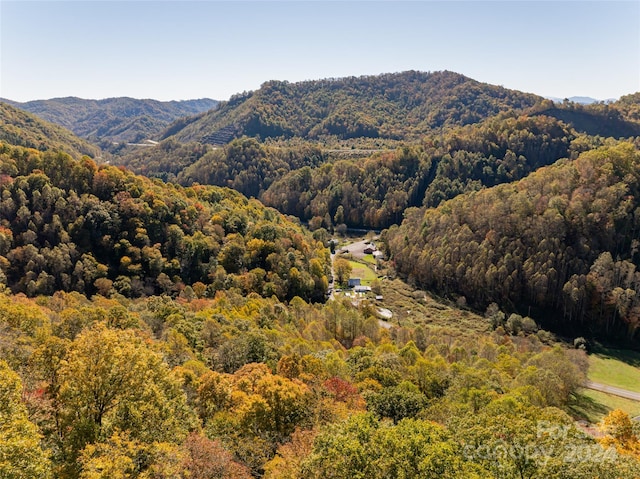 370 Smith Creek Rd, Mars Hill, NC 28754 - photo 46