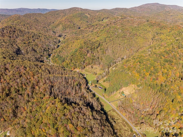 birds eye view of property featuring a mountain view