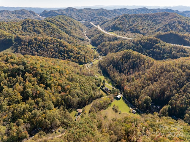 bird's eye view featuring a mountain view