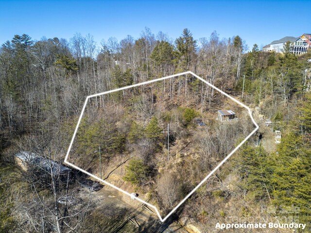 Listing photo 2 for 99999 Ralph Lunsford Rd Unit 1, Weaverville NC 28787