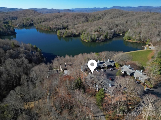 273 Tinequa Dr, Brevard, NC 28712 - photo 3