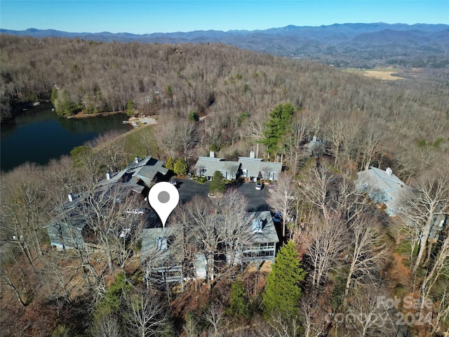 273 Tinequa Dr, Brevard, NC 28712 - photo 5