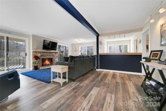 living room with plenty of natural light, wood-type flooring, ornamental molding, and a fireplace