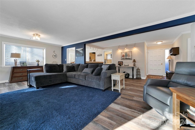 living room with wood-type flooring and ornamental molding