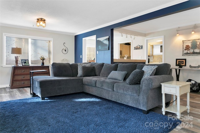 living room with a textured ceiling, crown molding, wood-type flooring, and track lighting