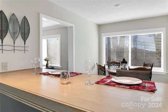 dining space featuring a textured ceiling and a wealth of natural light