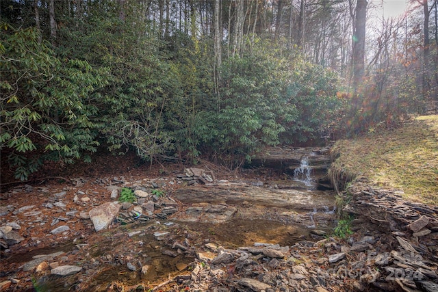 view of local wilderness