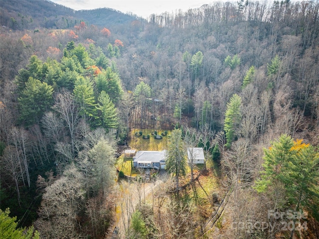 birds eye view of property with a mountain view