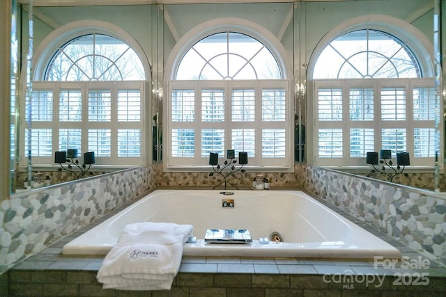 bathroom featuring plenty of natural light and a bath