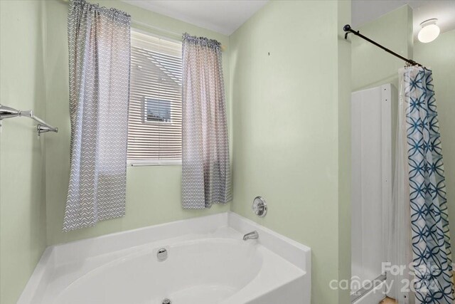 bathroom with a bathing tub