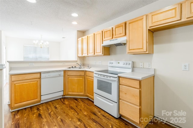 kitchen featuring white appliances, under cabinet range hood, a sink, and light brown cabinetry