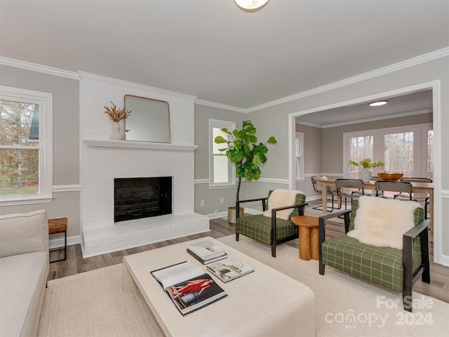 living room with hardwood / wood-style floors, a fireplace, and crown molding