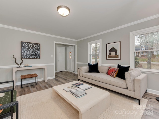 living room with wood-type flooring and ornamental molding