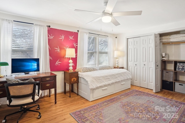 5300 Fair Wind Ln, Charlotte, NC 28212 - bedroom with baseboards, wood finished floors, and ceiling fan