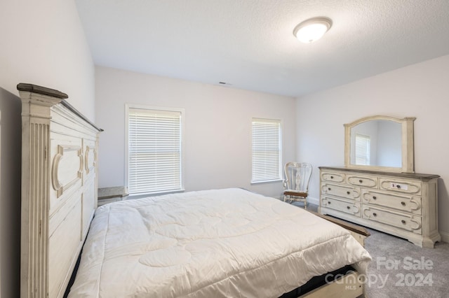 carpeted bedroom with a textured ceiling