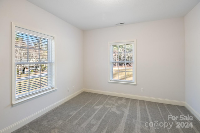 unfurnished room with a healthy amount of sunlight and carpet floors