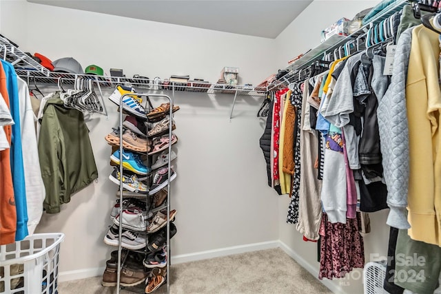 walk in closet featuring carpet floors