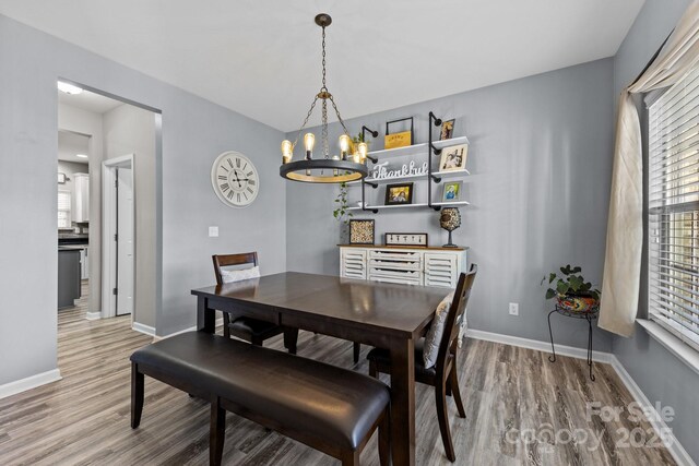 dining room featuring wood-type flooring and a chandelier