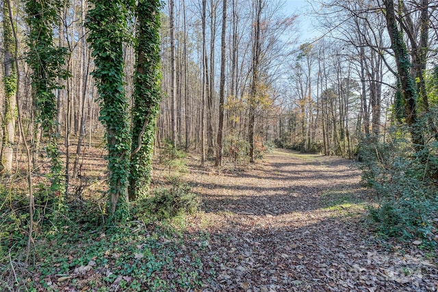 00 Knollwood Cir, Albemarle, NC 28001 - photo 5
