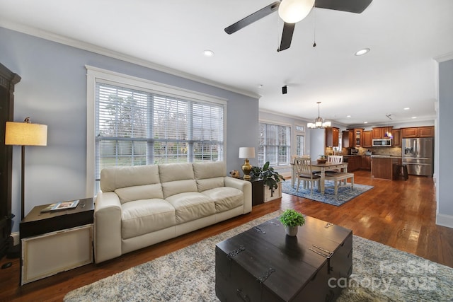 living room with ornamental molding, ceiling fan with notable chandelier, and dark hardwood / wood-style flooring