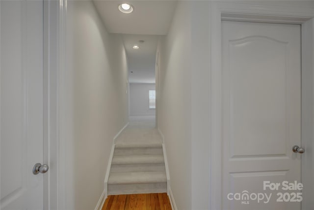 10029 Daufuskie Dr, Charlotte, NC 28278 - photo 37