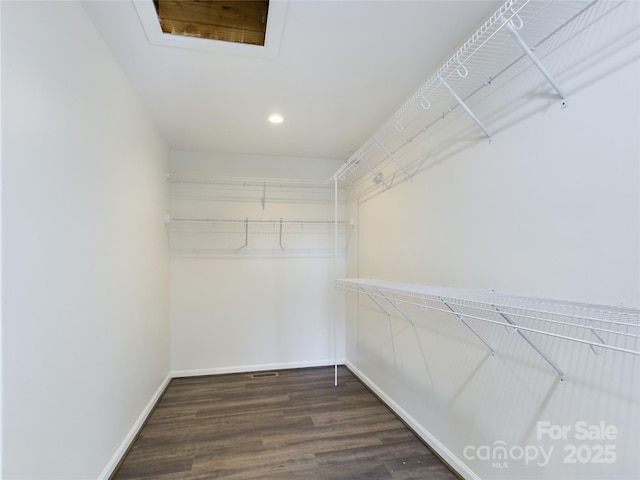 walk in closet with dark hardwood / wood-style floors