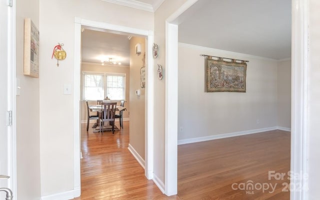 hallway with hardwood / wood-style flooring and crown molding