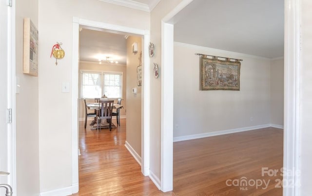 1315 Shady Bluff Dr, Charlotte, NC 28211 - photo 10