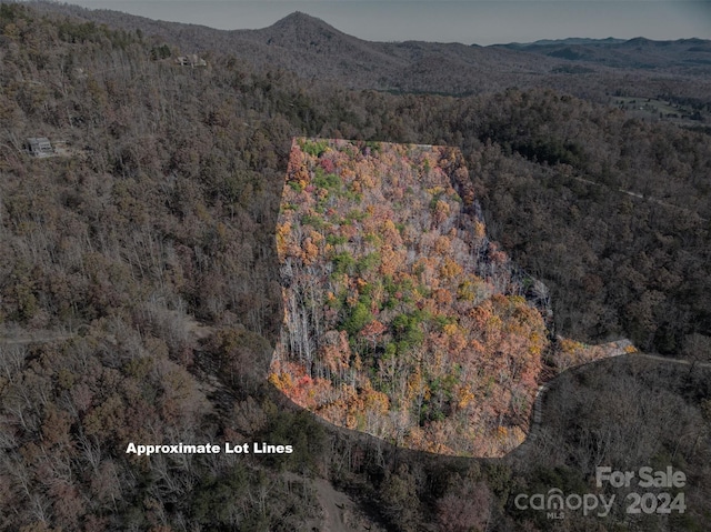 00 Lower Switchback Rd, Union Mills NC, 28167 land for sale