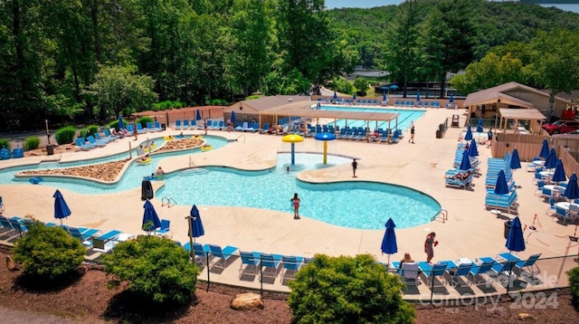 view of pool with a patio area