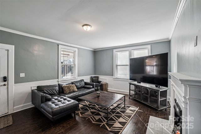 living room with a premium fireplace, crown molding, and dark wood-type flooring