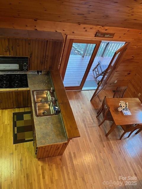 kitchen with sink, light hardwood / wood-style floors, and a skylight